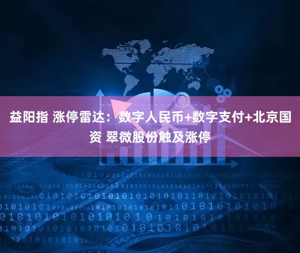 益阳指 涨停雷达：数字人民币+数字支付+北京国资 翠微股份触及涨停