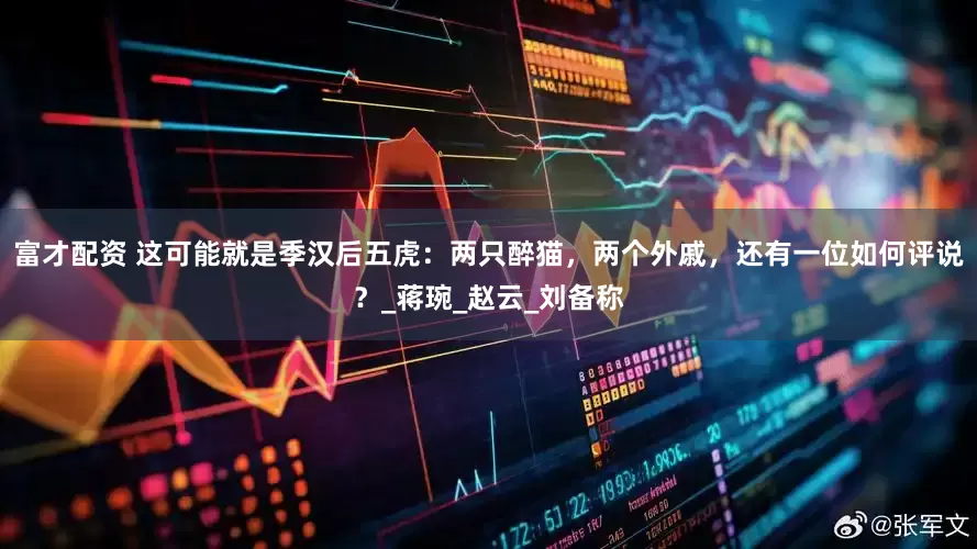 富才配资 这可能就是季汉后五虎：两只醉猫，两个外戚，还有一位如何评说？_蒋琬_赵云_刘备称