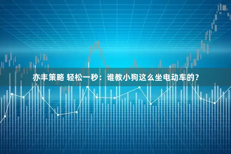 亦丰策略 轻松一秒：谁教小狗这么坐电动车的？