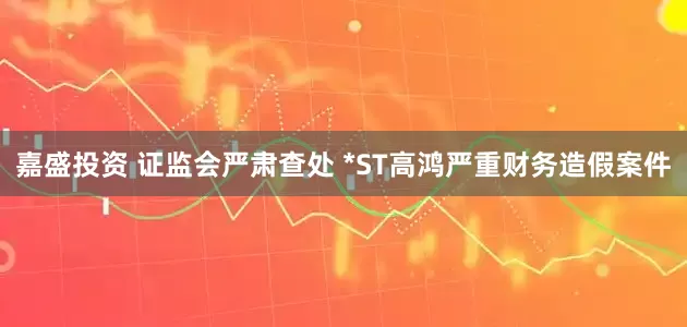 嘉盛投资 证监会严肃查处 *ST高鸿严重财务造假案件