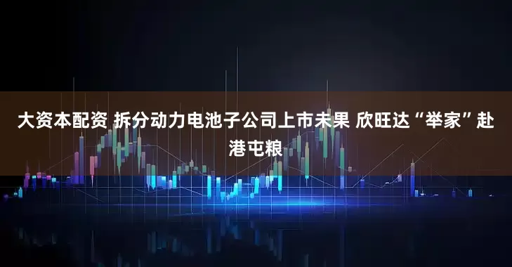 大资本配资 拆分动力电池子公司上市未果 欣旺达“举家”赴港屯粮